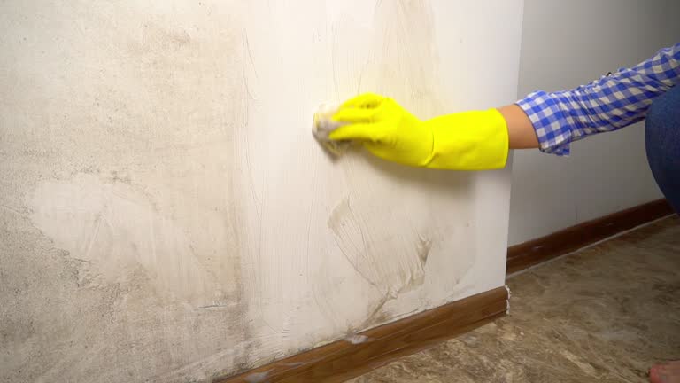 Best Biohazard Mold Removal  in Tanaina, AK