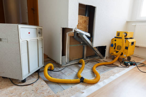 Best Mold Documentation for Insurance Claims  in Tanaina, AK